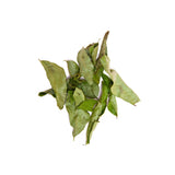 MASHAL DRY CURRY LEAVES