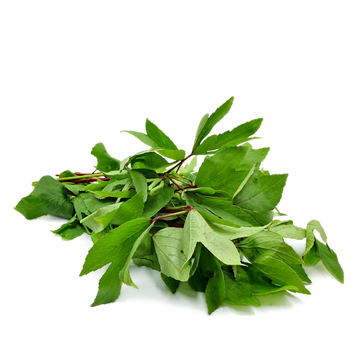 GONGURA LEAVES