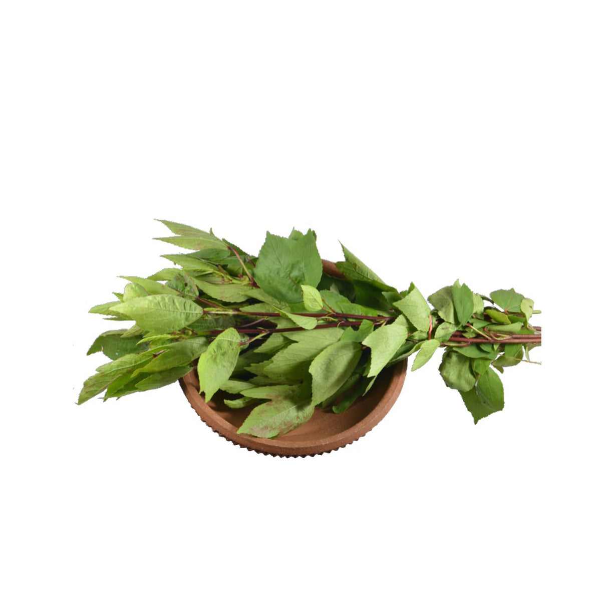 GONGURA LEAVES