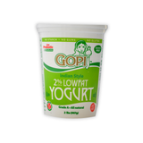 GOPI INDIAN STYLE LOWFAT YOGURT