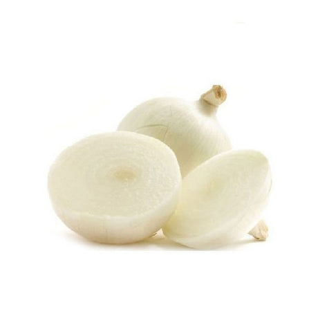 ONION WHITE