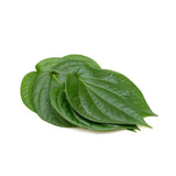 PAAN LEAVES