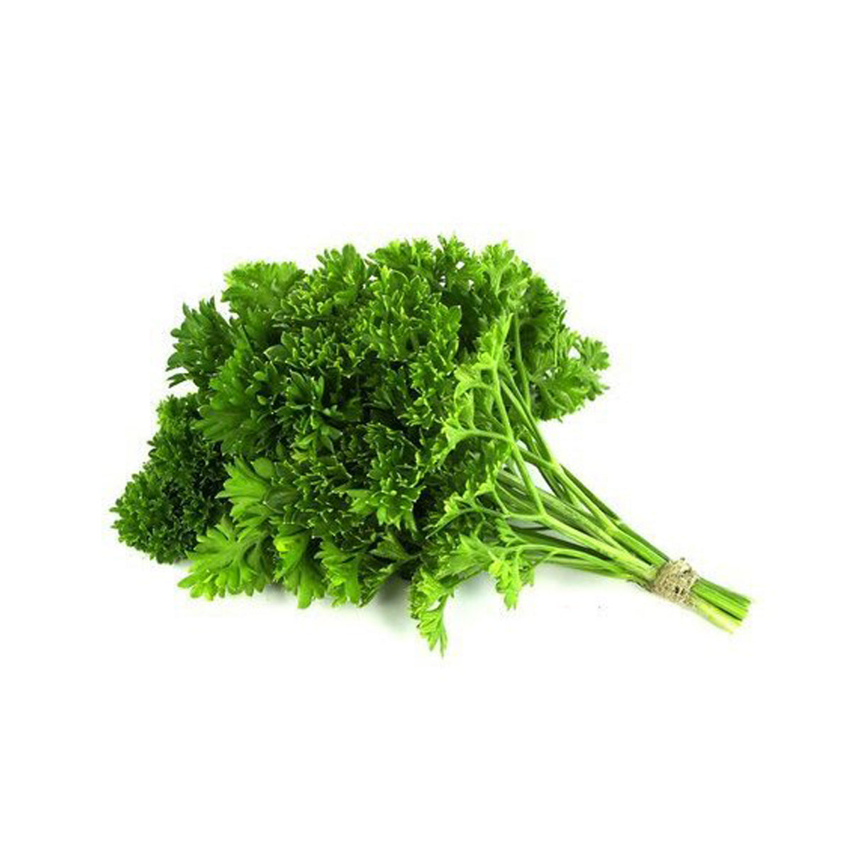 PARSLEY