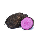 PURPLE YAM