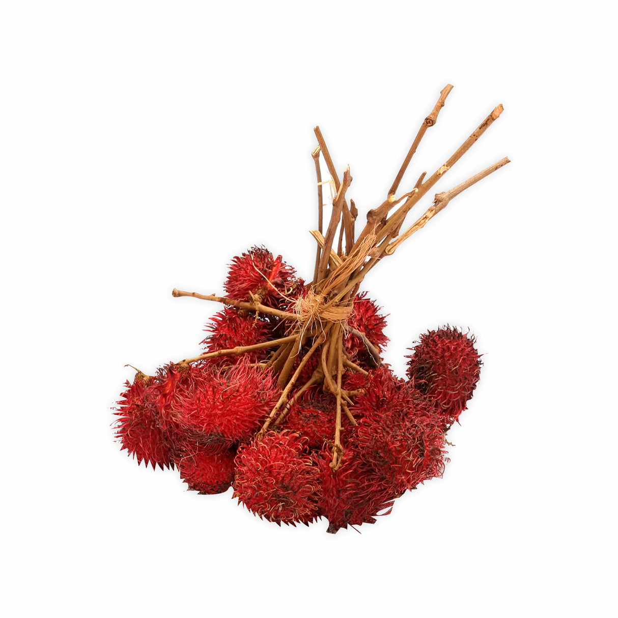 RAMBUTAN