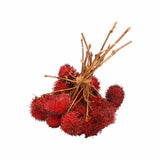 RAMBUTAN