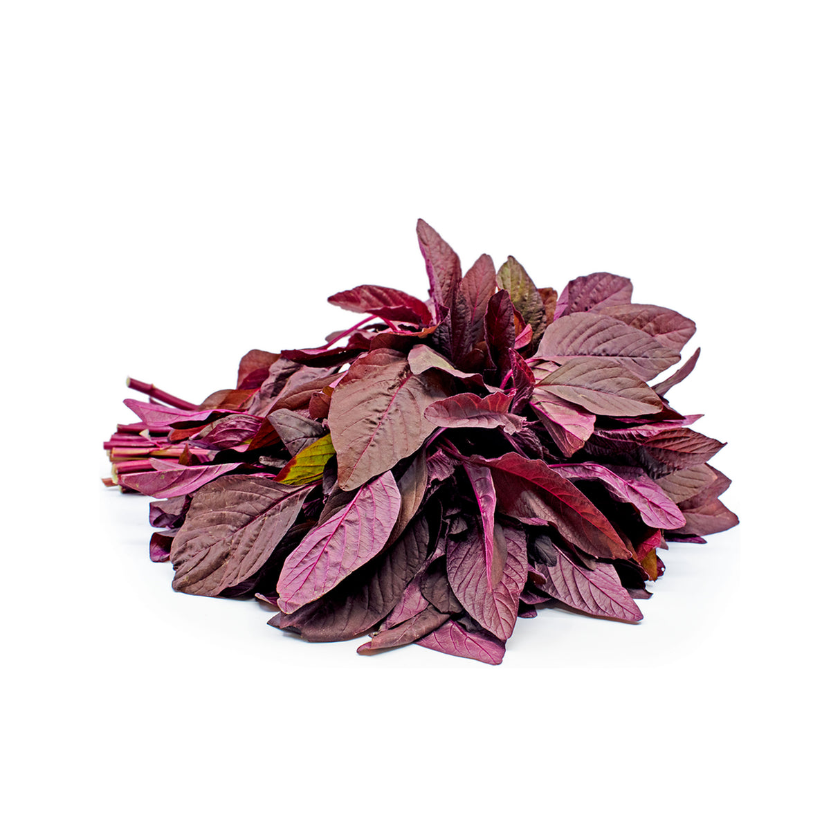 RED SHISO LEAVES