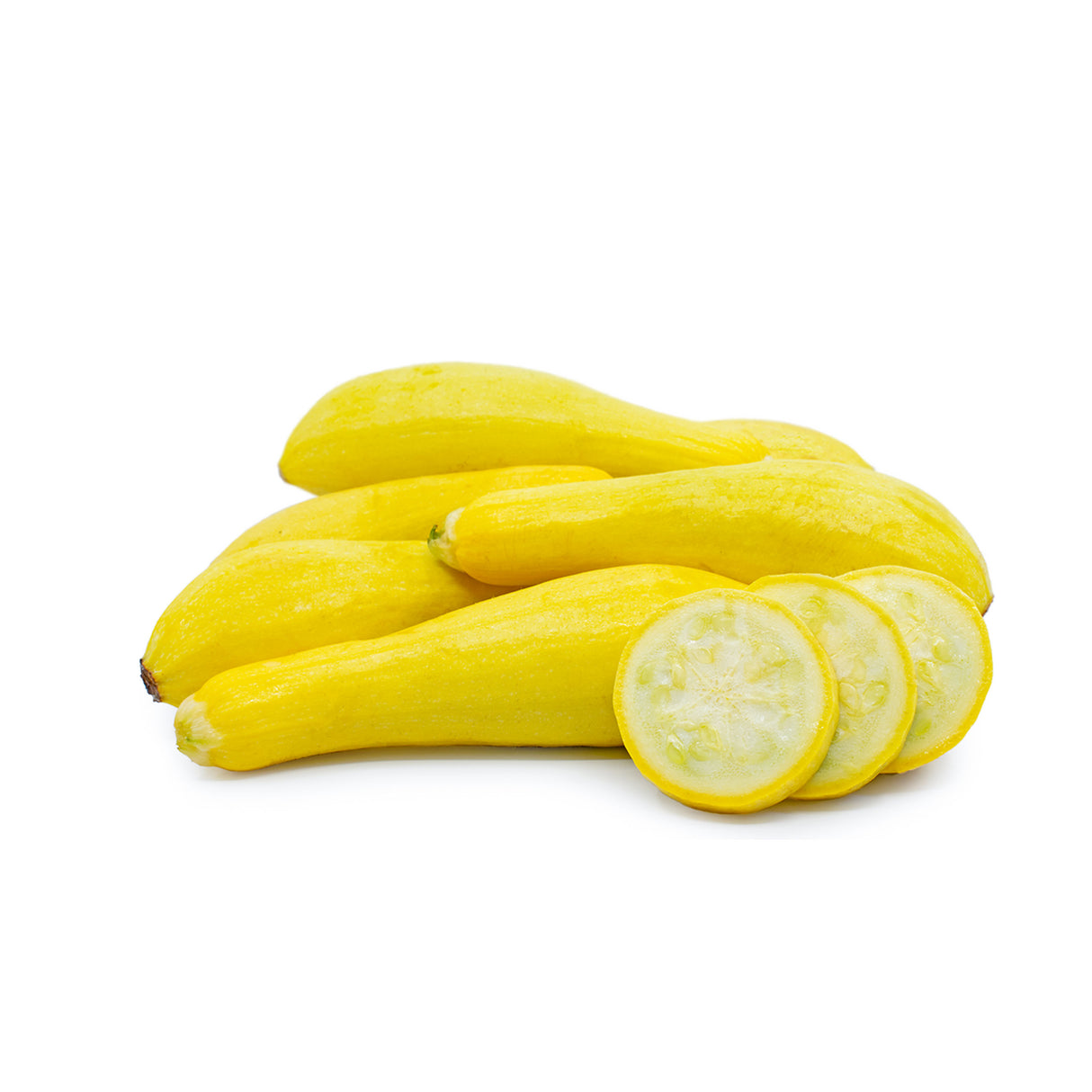 SUMMER SQUASH